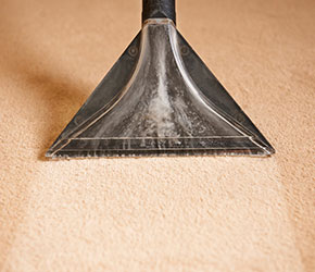 Carpet Cleaning South Lyon MI: Commercial & Residential | X-Treme Steam - carpet-cleaning