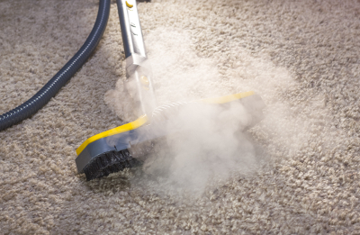 Commercial Carpet Cleaning Birmingham MI - X-treme Steam - carpettreatment2