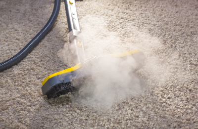 Carpet Cleaning West Bloomfield MI - X-treme Steam - carpettreatment2